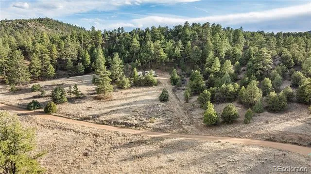 48 Alex Court Cotopaxi, CO 81223