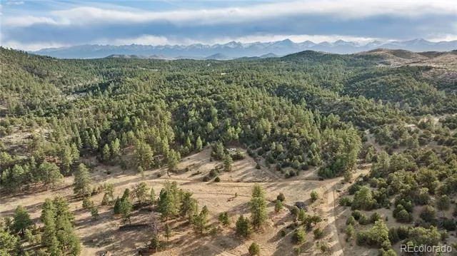 48 Alex Court Cotopaxi, CO 81223