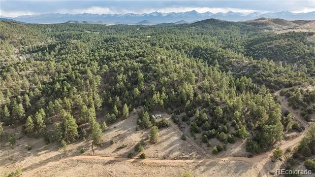 48 Alex Court Cotopaxi, CO 81223