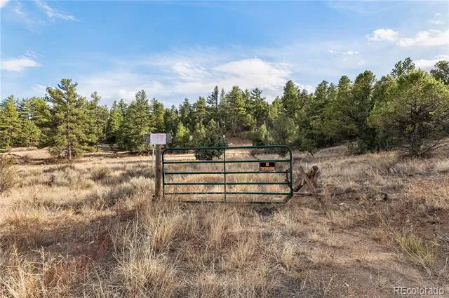 48 Alex Court Cotopaxi, CO 81223