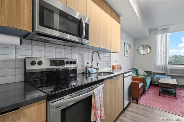 603 Inca Street #311 Denver, CO 80204