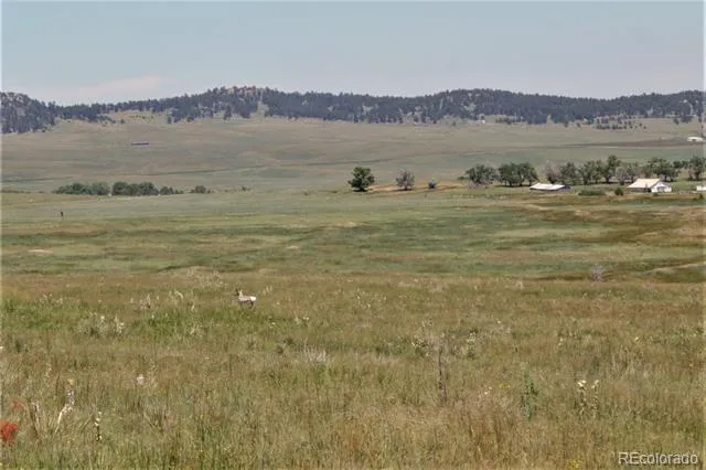 Tract 21 McClelland Road Calhan, CO 80808