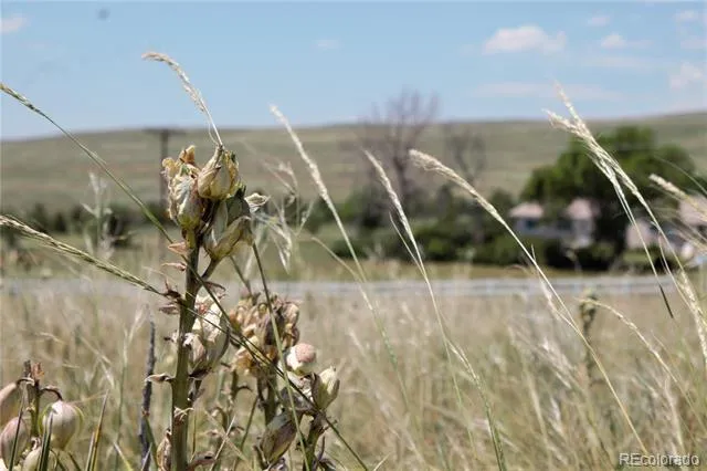 Tract 21 McClelland Road Calhan, CO 80808