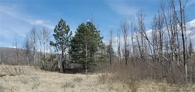 Address Not Shown Fort Garland, CO 81133