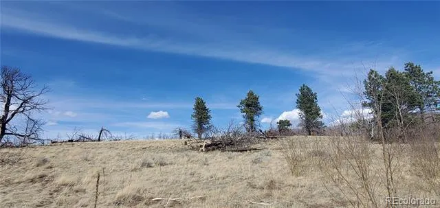 Address Not Shown Fort Garland, CO 81133