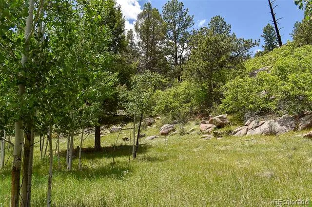281 Deer Lane Guffey, CO 80820