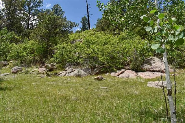 281 Deer Lane Guffey, CO 80820