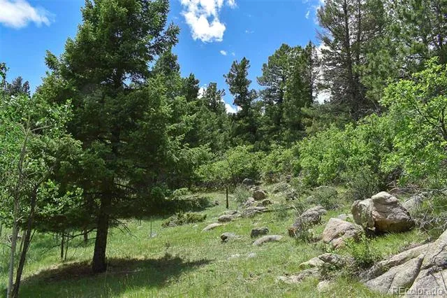 281 Deer Lane Guffey, CO 80820