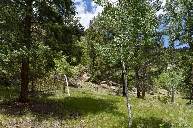 281 Deer Lane Guffey, CO 80820