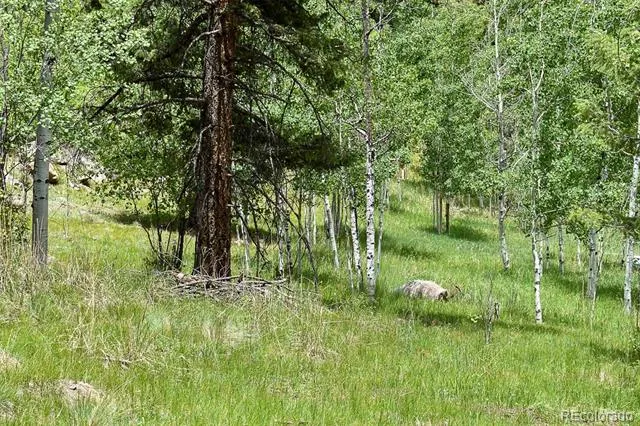 281 Deer Lane Guffey, CO 80820