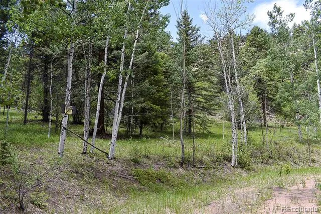 281 Deer Lane Guffey, CO 80820