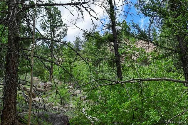 281 Deer Lane Guffey, CO 80820