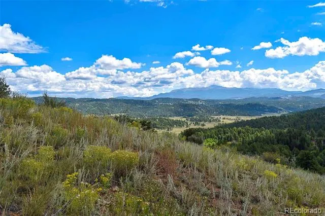 281 Deer Lane Guffey, CO 80820
