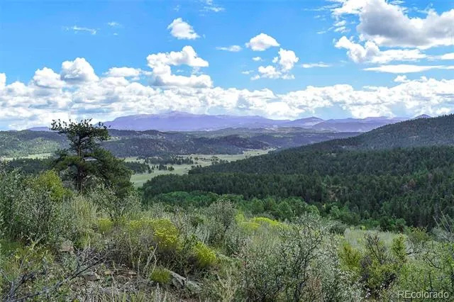 281 Deer Lane Guffey, CO 80820