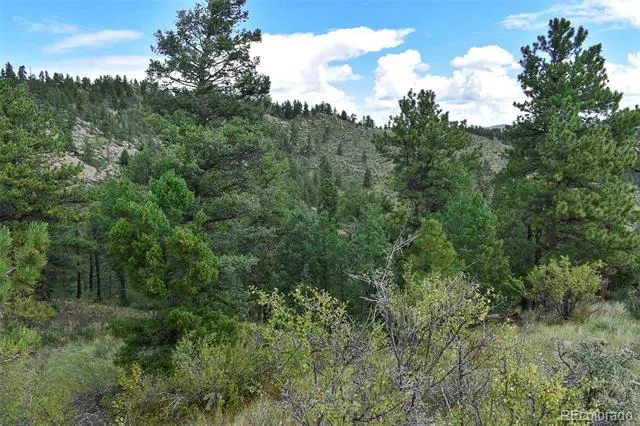 281 Deer Lane Guffey, CO 80820