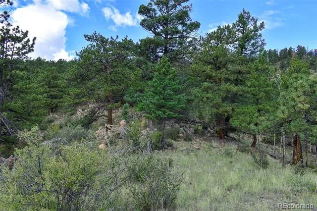 281 Deer Lane Guffey, CO 80820