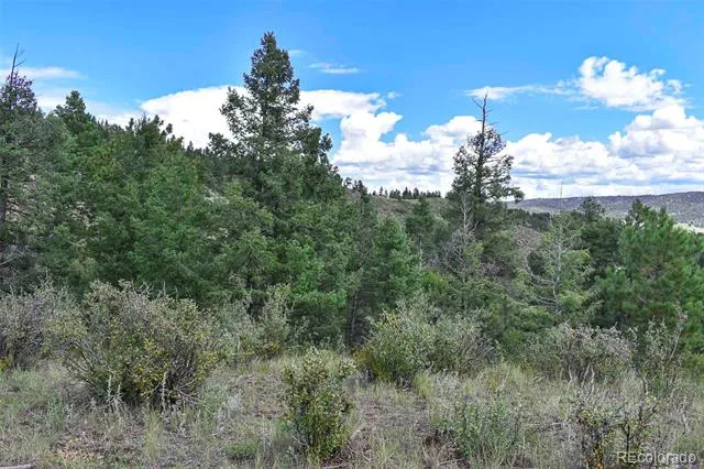 281 Deer Lane Guffey, CO 80820
