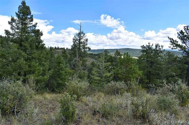 281 Deer Lane Guffey, CO 80820