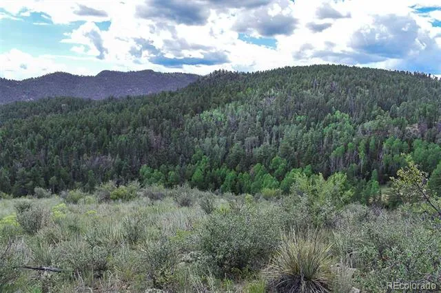 281 Deer Lane Guffey, CO 80820