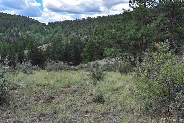 281 Deer Lane Guffey, CO 80820
