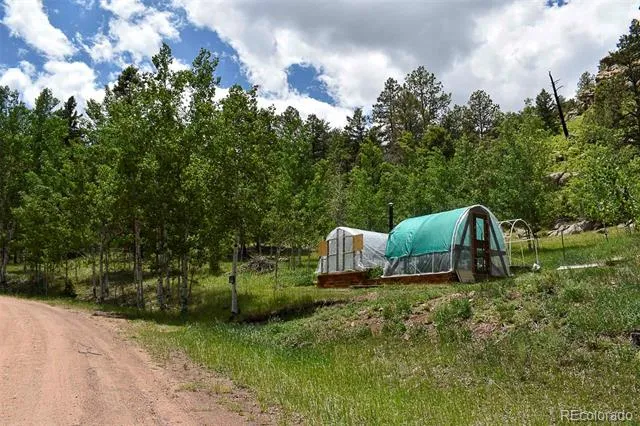 281 Deer Lane Guffey, CO 80820