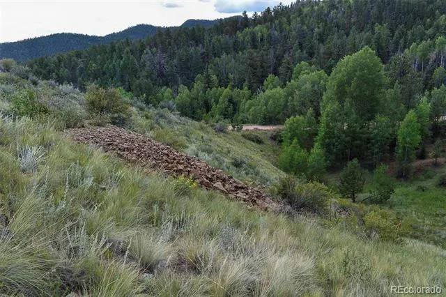281 Deer Lane Guffey, CO 80820