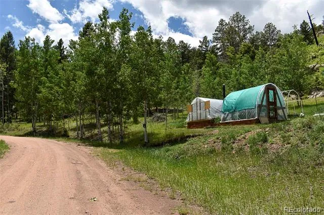 281 Deer Lane Guffey, CO 80820