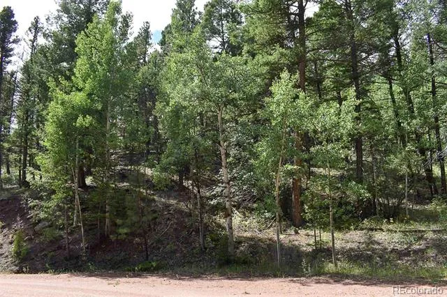 281 Deer Lane Guffey, CO 80820