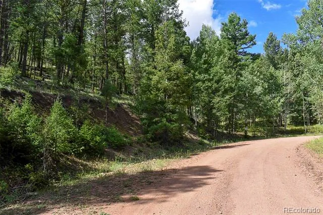 281 Deer Lane Guffey, CO 80820