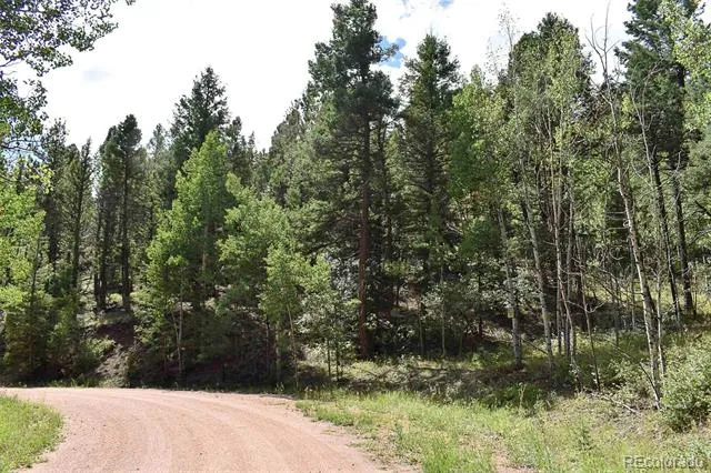 281 Deer Lane Guffey, CO 80820