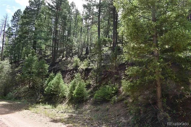 281 Deer Lane Guffey, CO 80820