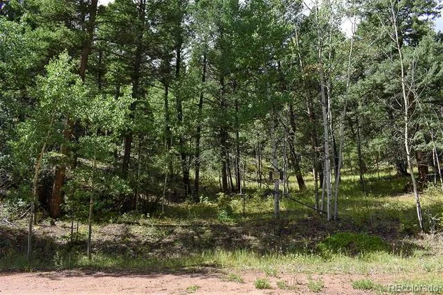 281 Deer Lane Guffey, CO 80820