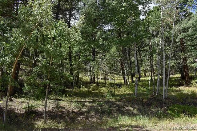 281 Deer Lane Guffey, CO 80820
