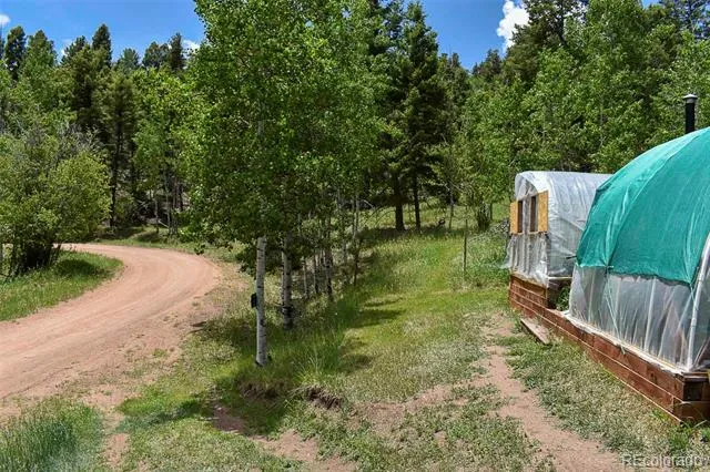 281 Deer Lane Guffey, CO 80820