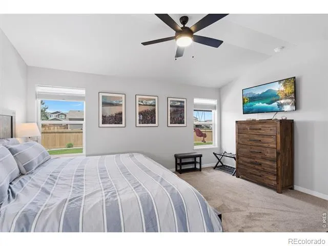 6902 Cattails Drive Wellington, CO 80549