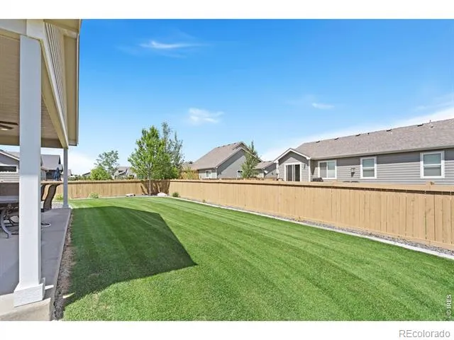 6902 Cattails Drive Wellington, CO 80549