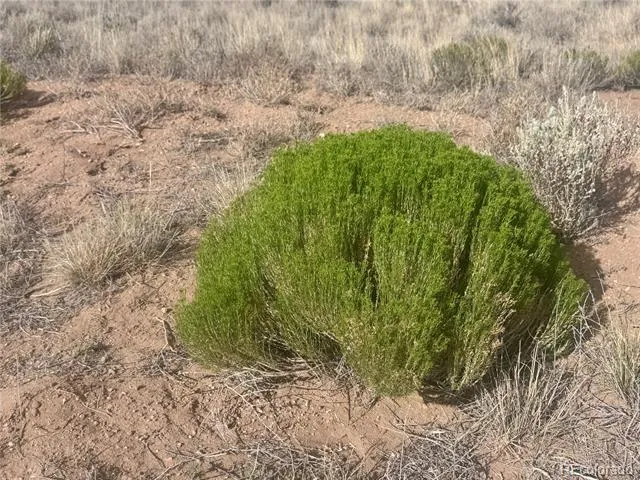 lot 89 Zuni San Luis, CO 81152