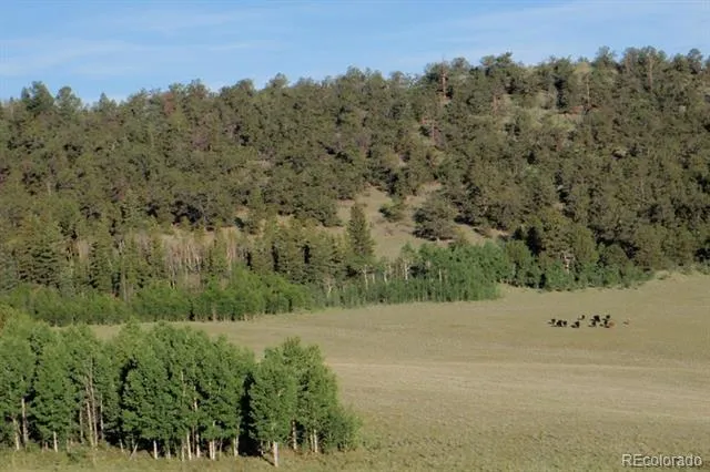 1185 County Road 734 Fairplay, CO 80440