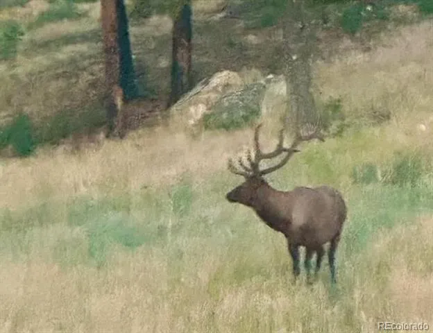 12799 Road 105 Mancos, CO 81328