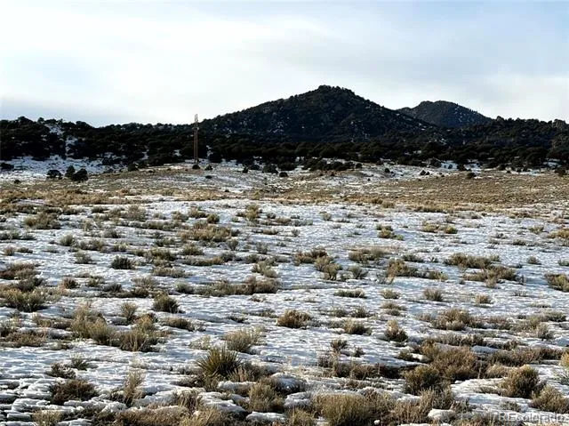 TRACT 2 BOWLING/COBB DIVISION OF LAND Saguache, CO 81143