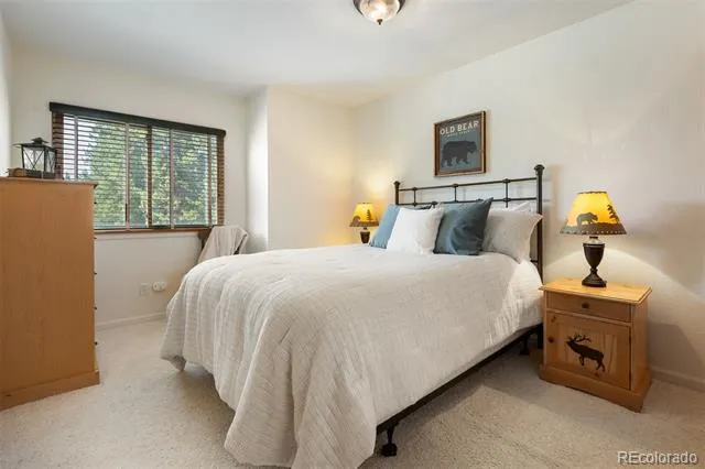 787 Mulligan Street #5 Fraser, CO 80442
