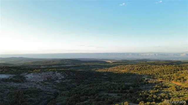 18975 Elk Reserve Road Glade Park, CO 81523