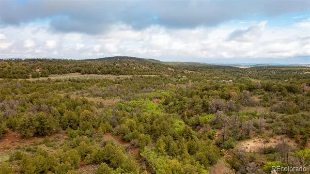 18975 Elk Reserve Road Glade Park, CO 81523