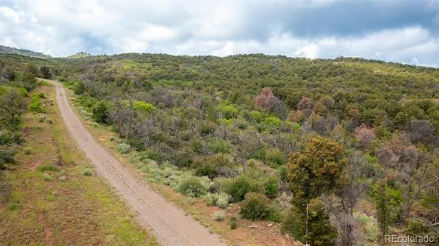 18975 Elk Reserve Road Glade Park, CO 81523