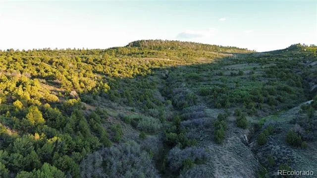 18975 Elk Reserve Road Glade Park, CO 81523