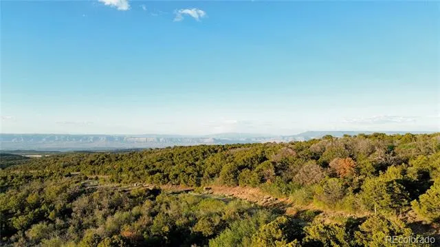 18975 Elk Reserve Road Glade Park, CO 81523