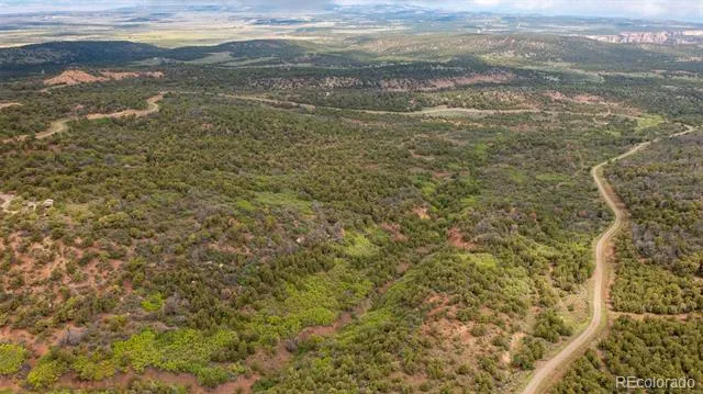 18975 Elk Reserve Road Glade Park, CO 81523