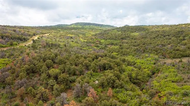 18975 Elk Reserve Road Glade Park, CO 81523