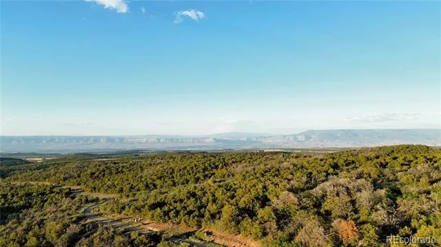 18975 Elk Reserve Road Glade Park, CO 81523