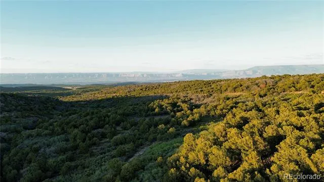 18975 Elk Reserve Road Glade Park, CO 81523